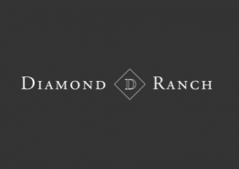 Diamond D Guest Ranch